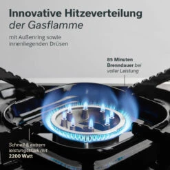 Skandika Gaskocher Brann -Skandika DE 60180 02 1280x1280