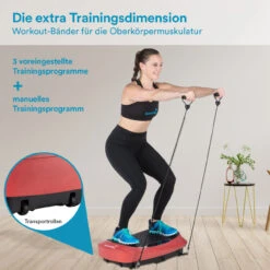 Skandika Vibrationsplatte V2500 Oszillation